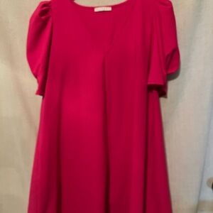 Karlie Hot Pink Shift Dress Size S